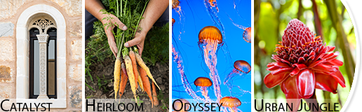 Spray paint color trends