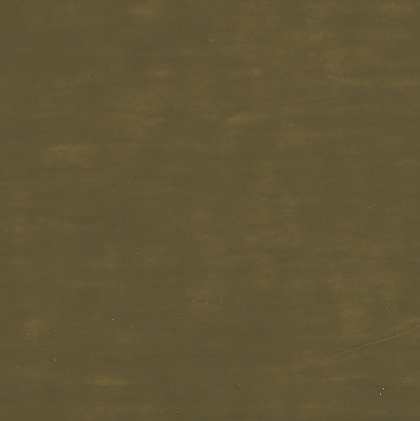 SW3569SS Olive