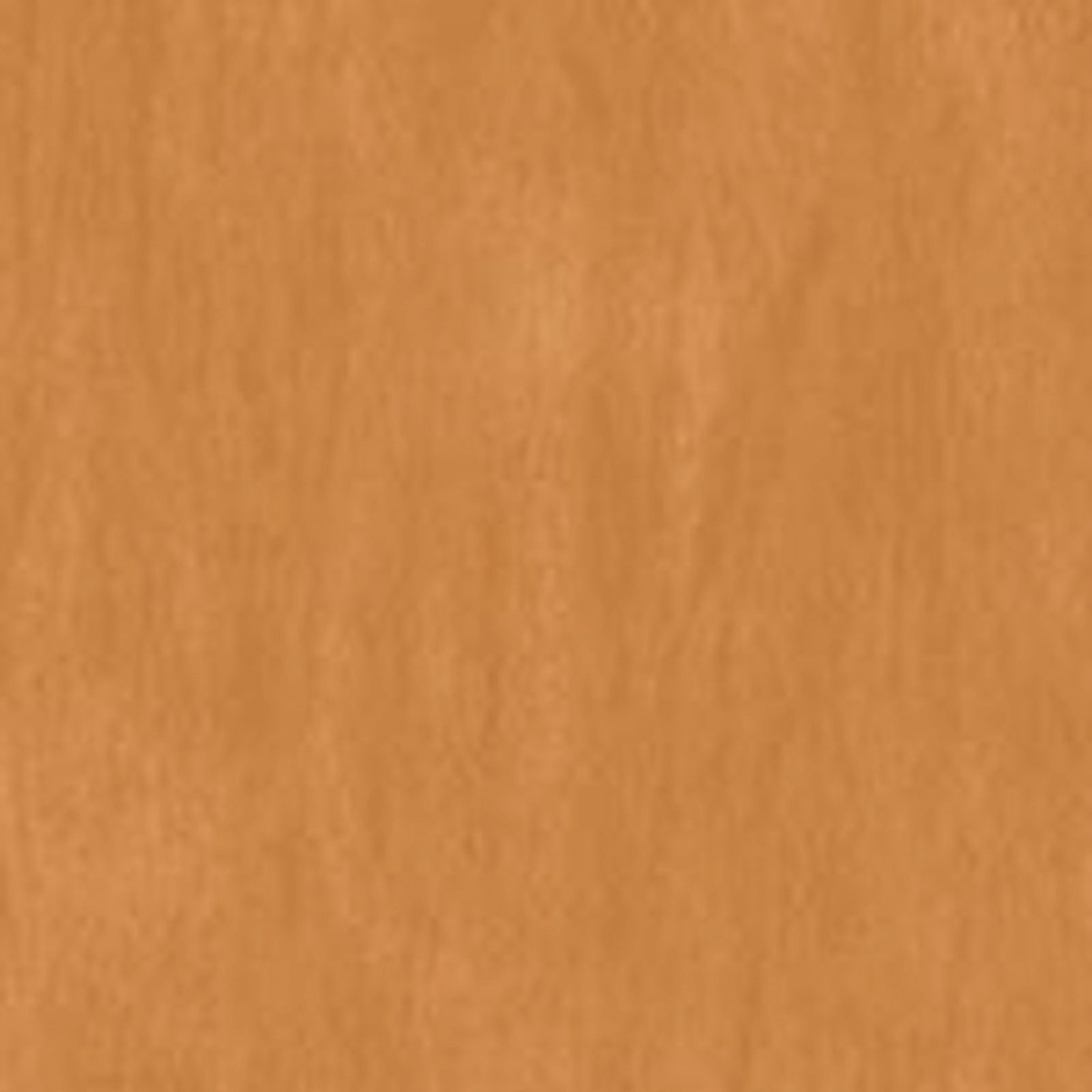 SW 3509 Baja Beige