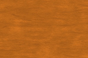 SW 3551 Natural Toner