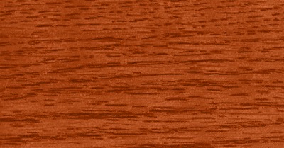SW 3107 Island Coral