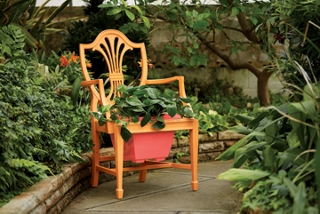 Planter Chair