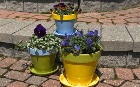 Fabulous Flower Pots Project