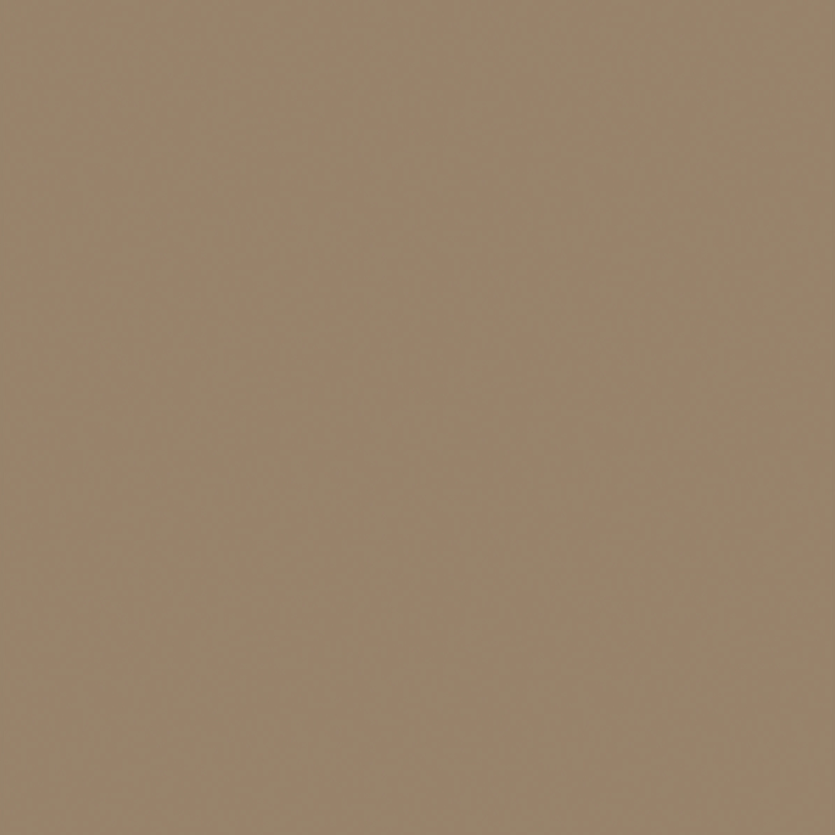 SW 3049 Monterey Tan - Exterior
