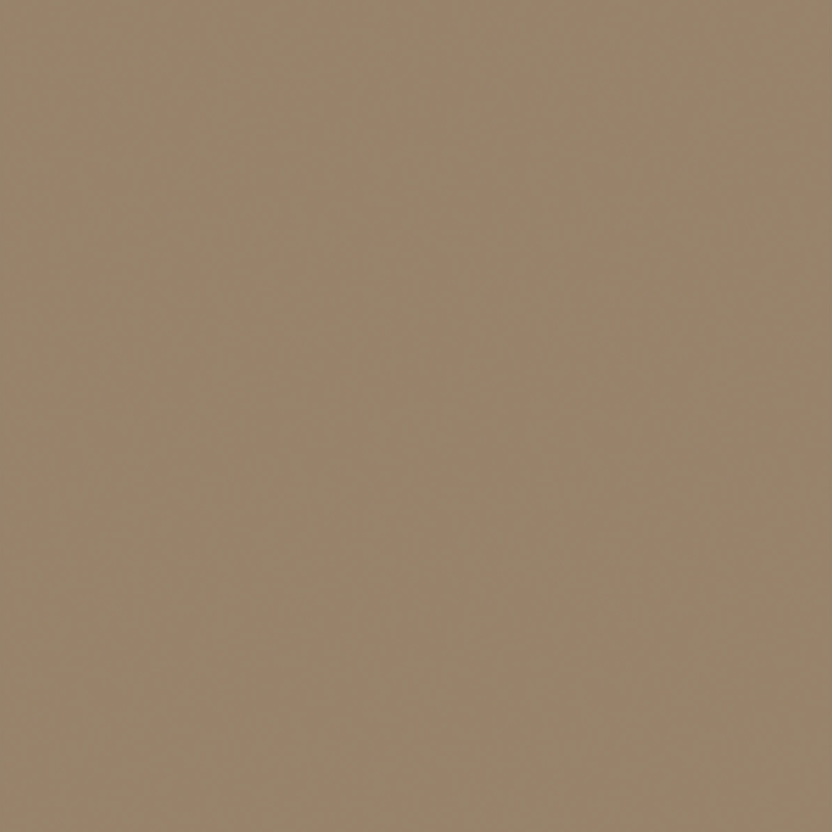 Sherwin Williams SW4002 Modular Tan Precisely Matched For Paint and Spray  Paint