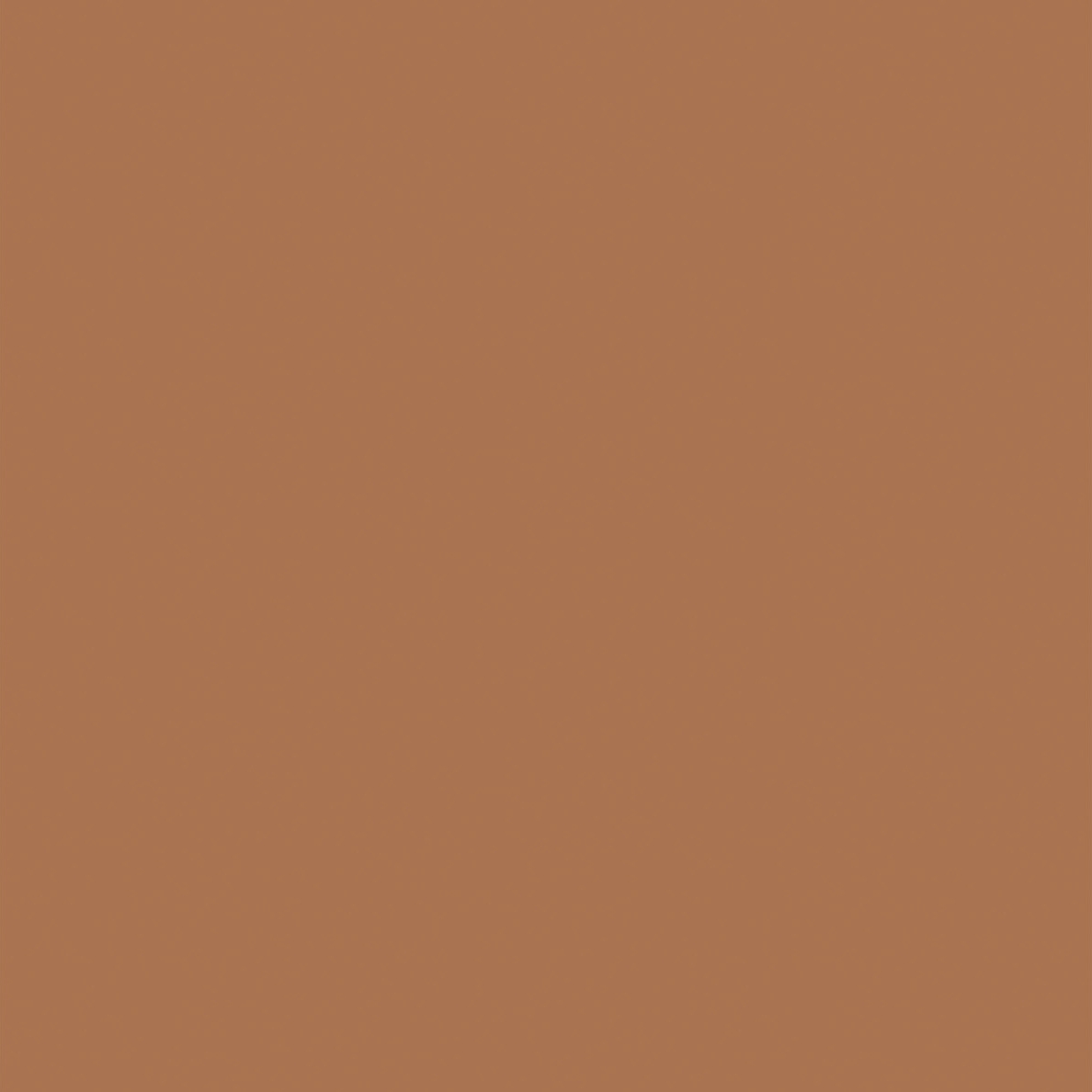 SW 3029 Ember - Exterior