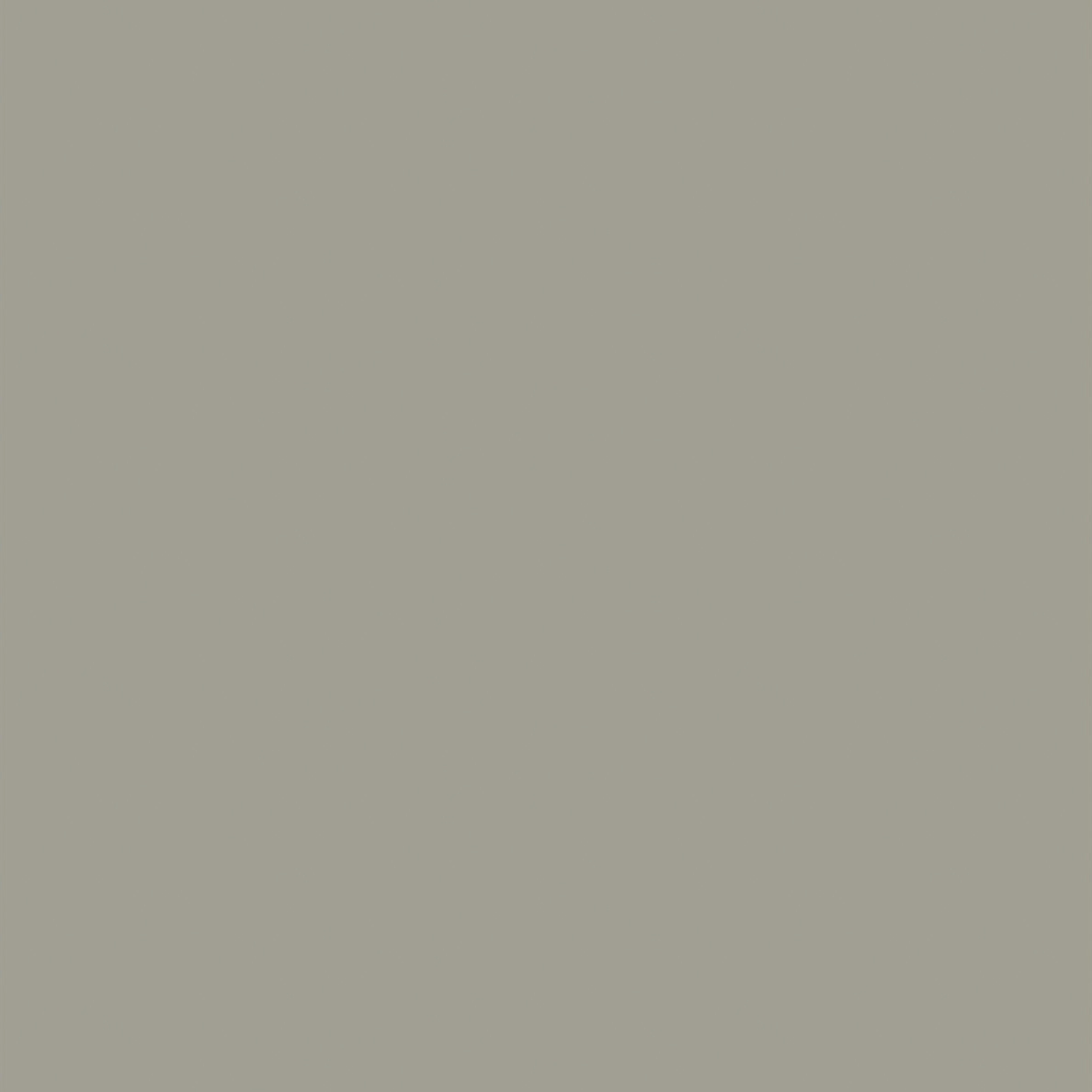 SW 3010 Woodsmoke Gray - Exterior
