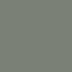 color-swatch?_tparam_size=250,250&layer=