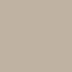 Lulled Beige Interior Paint Color | Decoratingspecial.com