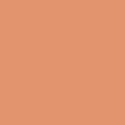 Sunset SW 6626 - Orange Paint Color - Sherwin-Williams