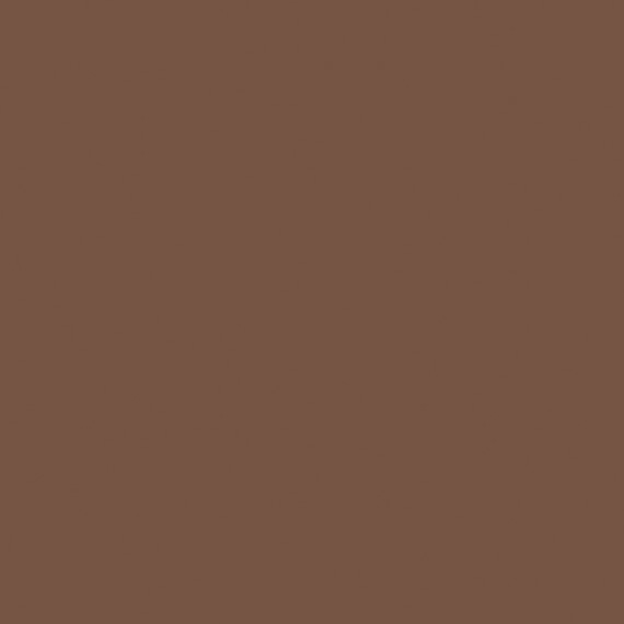 SW 3077 Shagbark Brown - Exterior