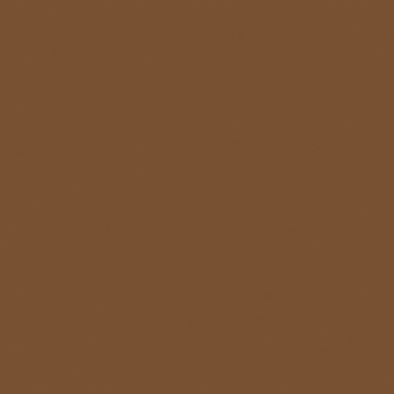 SW 3104 Brown - Exterior
