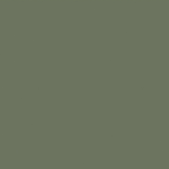 SW 3117 Dusky Green - Exterior