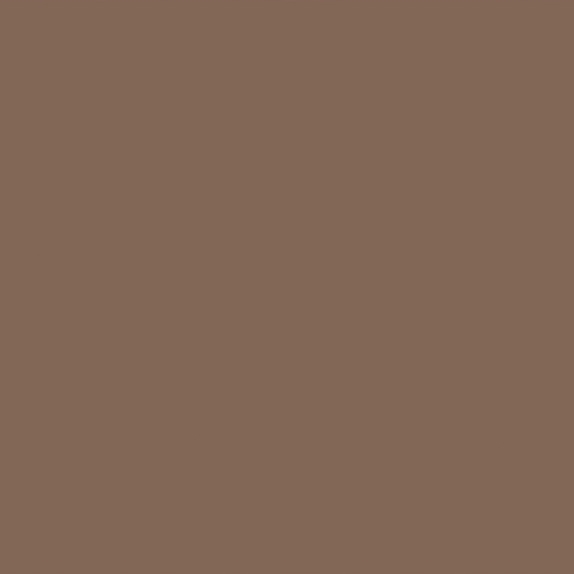 SW 3120 Forest Brown - Exterior