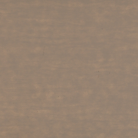SW 60SS Gray Pine - Exterior