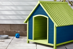 Dog House project