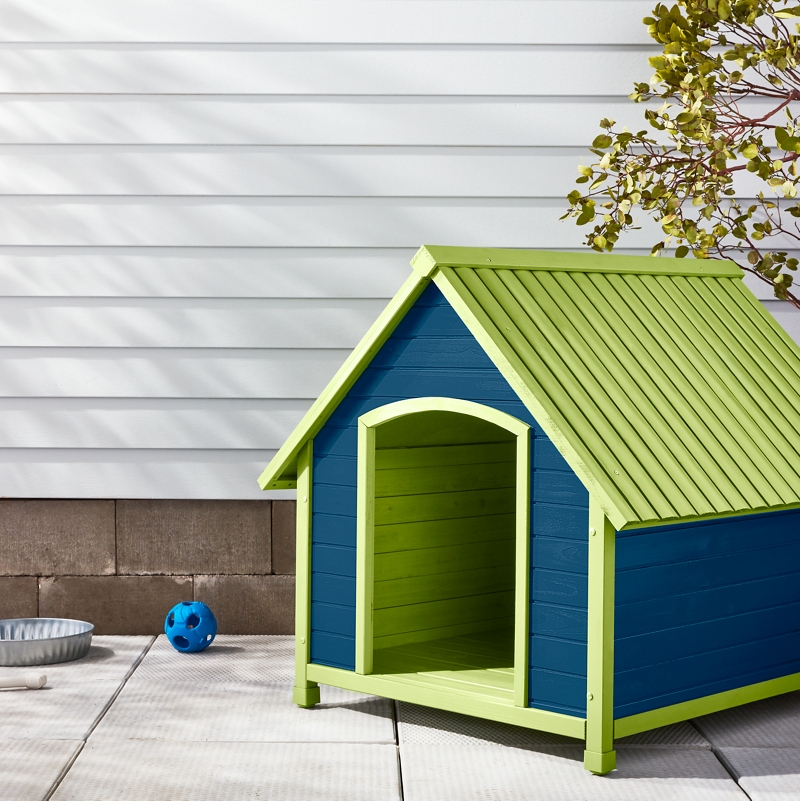 Dog House Outdoor Spray Paint Projects Krylon