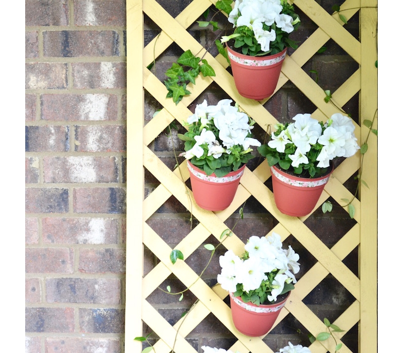 Lattice Flower Wall, Outdoors, Spray Paint Projects Krylon