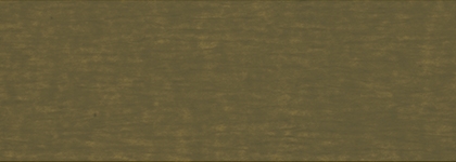 SW 3569 Olive - Exterior
