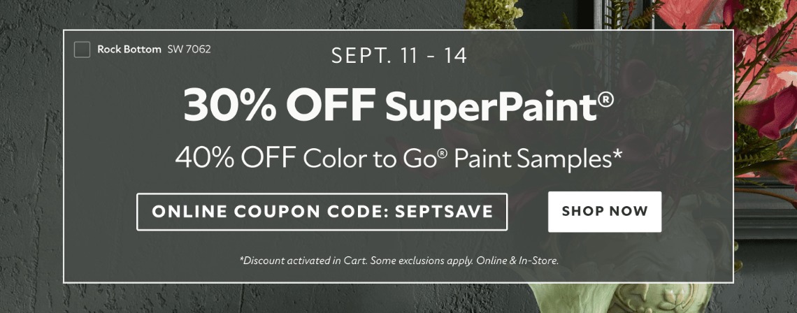 Dickies Painters Shorts | Sherwin-Williams