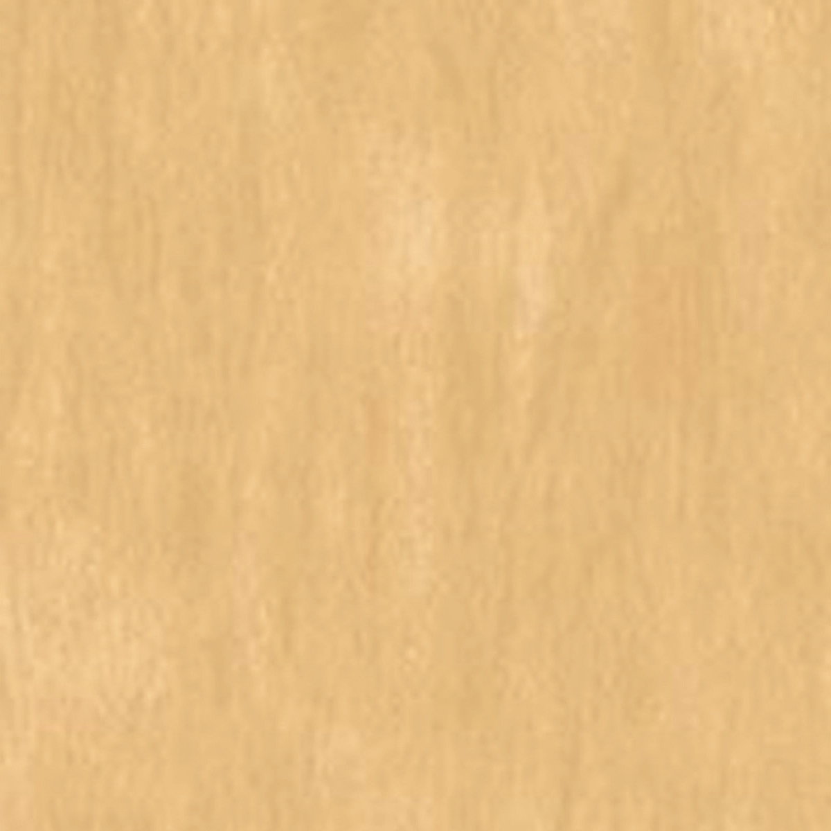 SW 3503 White Birch - Exterior