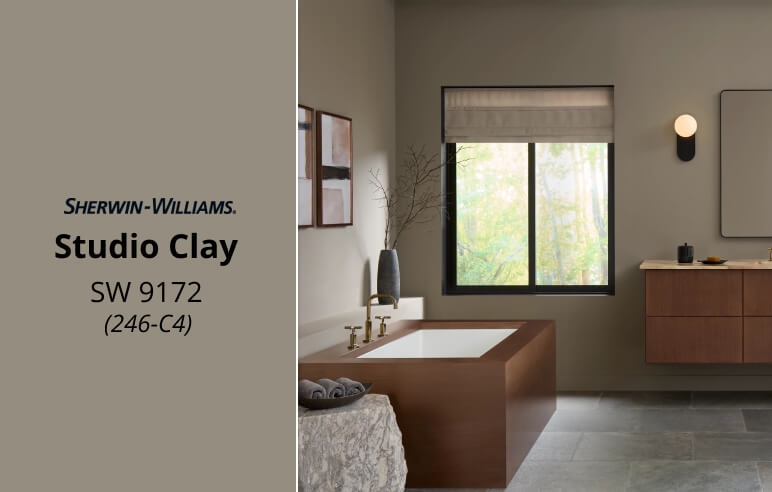 Studio Clay SW 9172