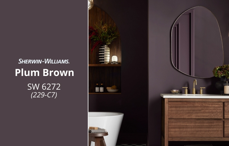 Plum Brown SW 6272